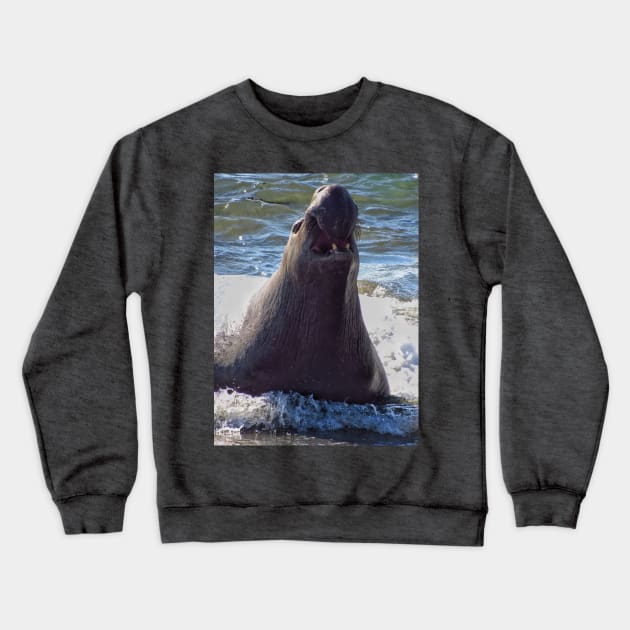 Elephant seal roaring Crewneck Sweatshirt by Photography_fan